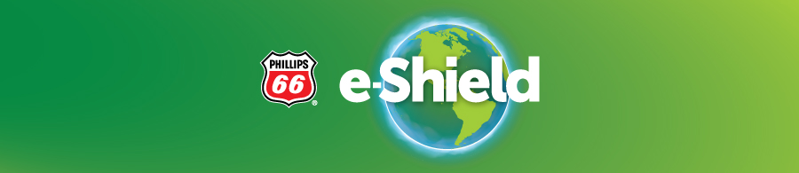 Logo e-Shield